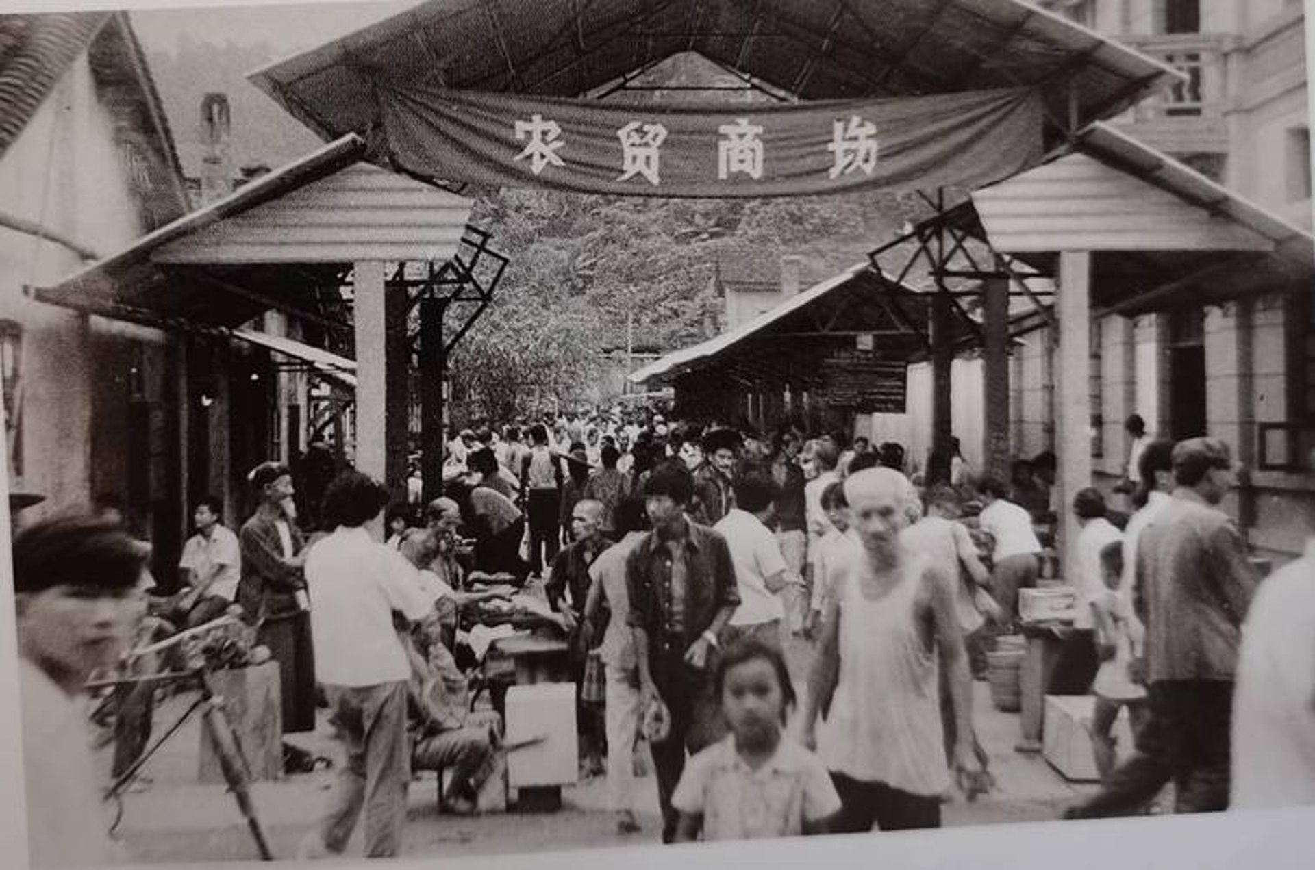 杨柒悦商贸
